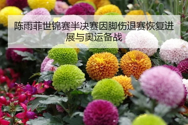 陈雨菲世锦赛半决赛因脚伤退赛恢复进展与奥运备战